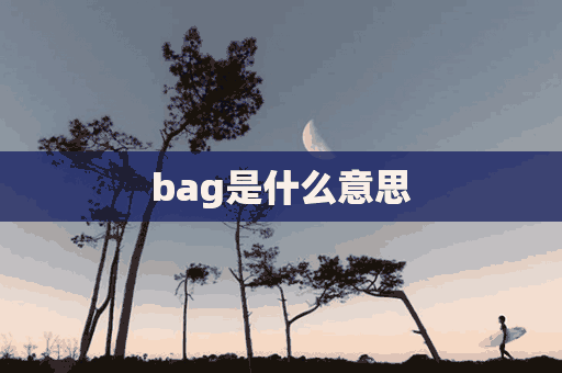 bag是什么意思(bag是什么意思中文)